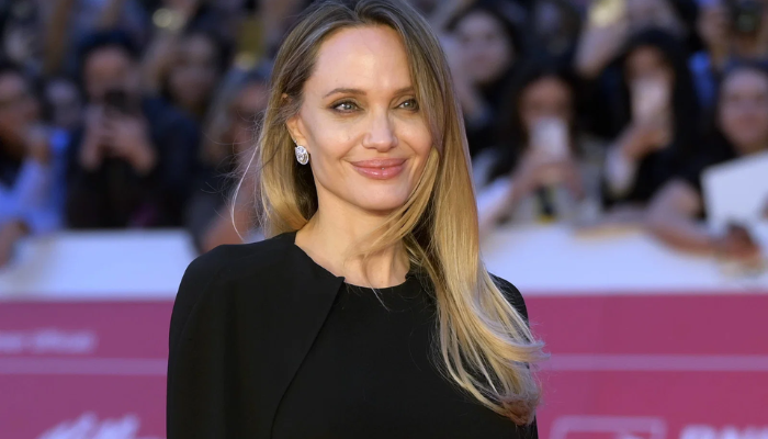 angelina jolie net worth