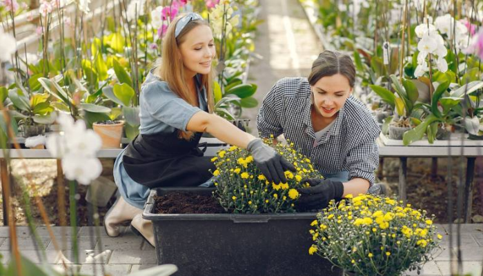 garden tips decoradhouse